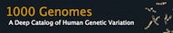 Go to 1000 Genomes website