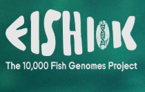 Go to The 10,000 Fish Genome Project website
